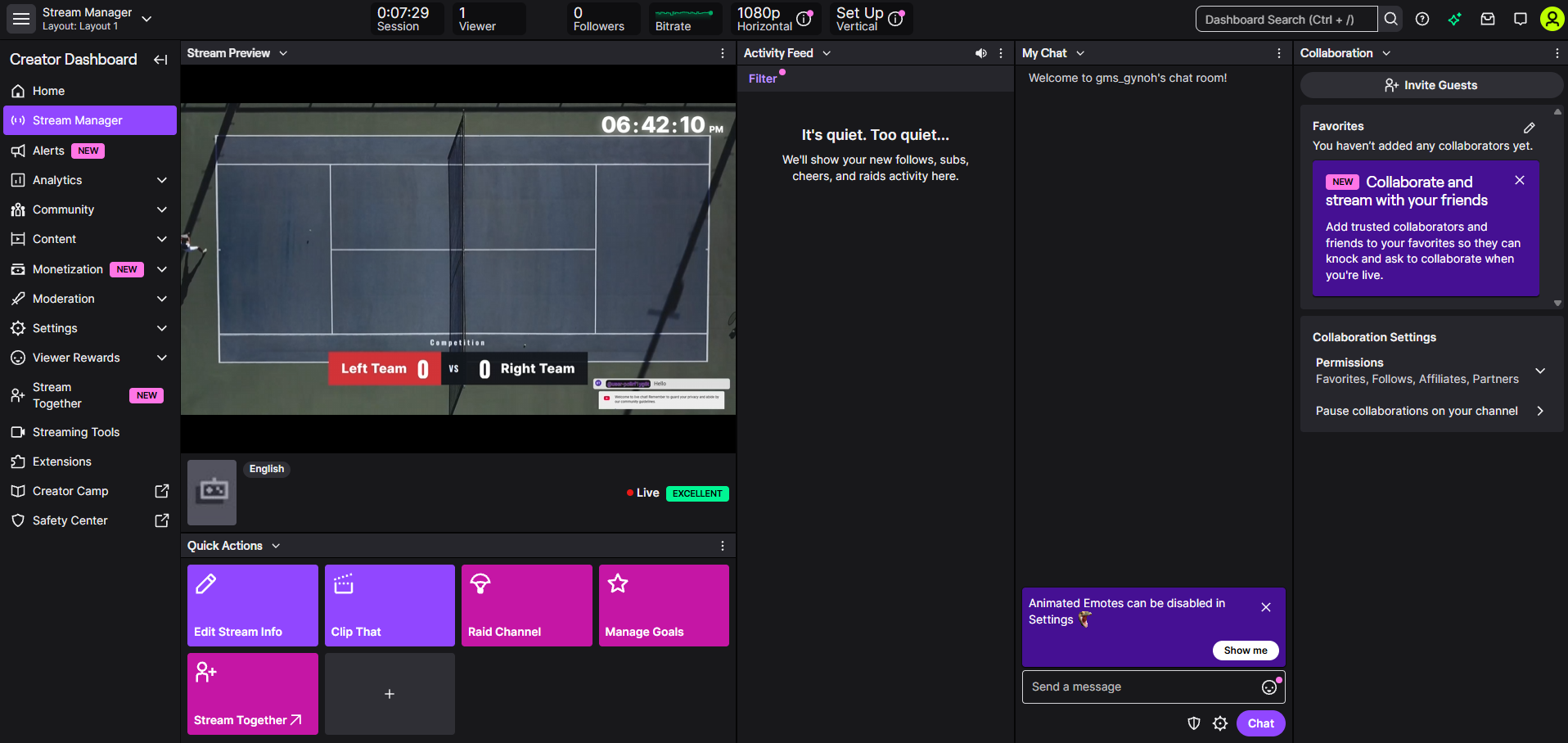 Twitch streaming screenshot